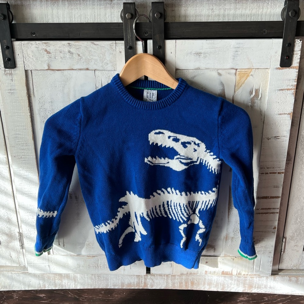 Boys dinosaur sweater